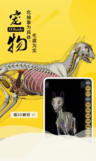 3Dbody宠物图片