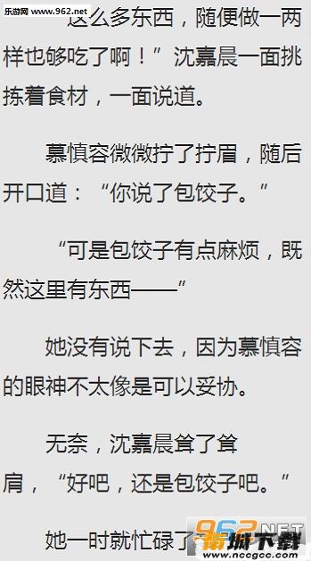 预览图3
