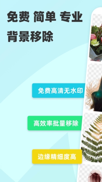 椰子背景官方版 v1.2.8