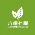 六棵石榴下载app