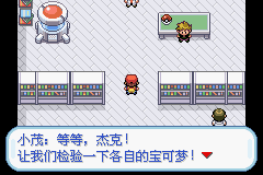 口袋妖怪火红中文版