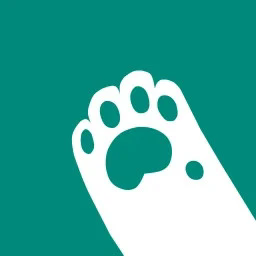 妙妙触控官方正版