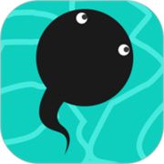 蝌蚪窝直播2024最新版