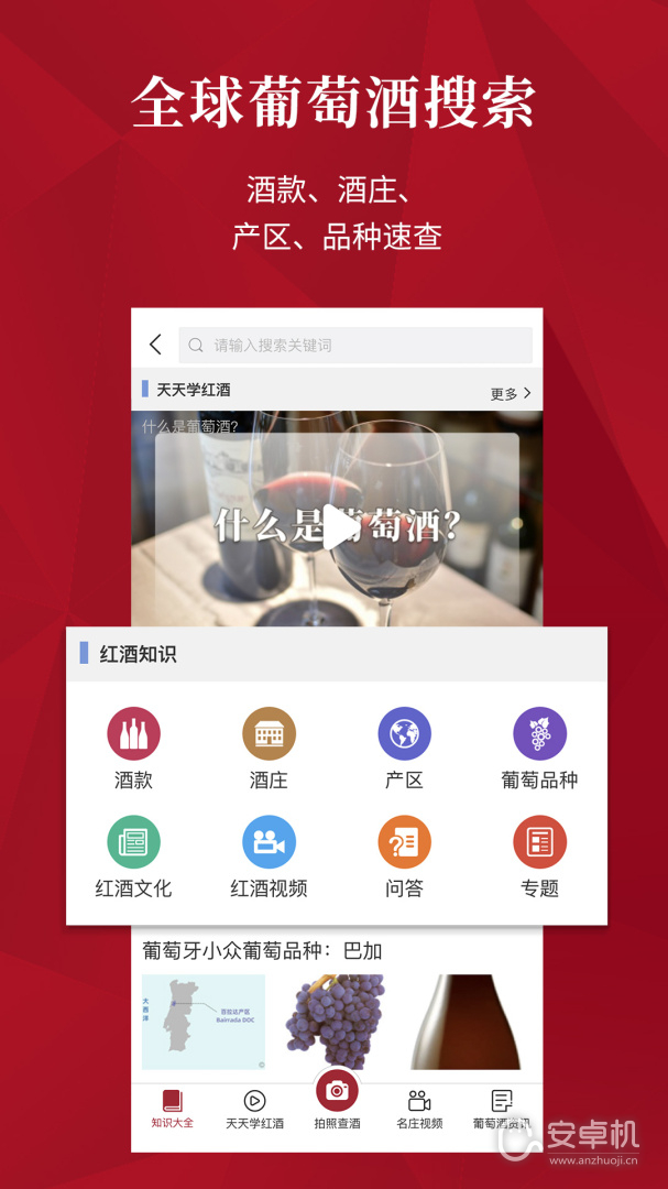 紅酒世界截圖2