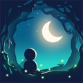 回音 V2.13.1下载