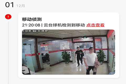 小强当家app正版