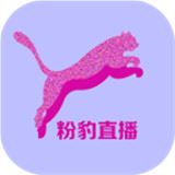 粉豹直播