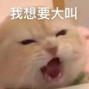 万能表情包
