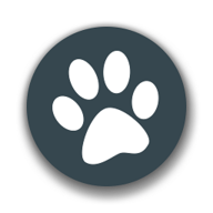 兽音译者下载 v1.5 