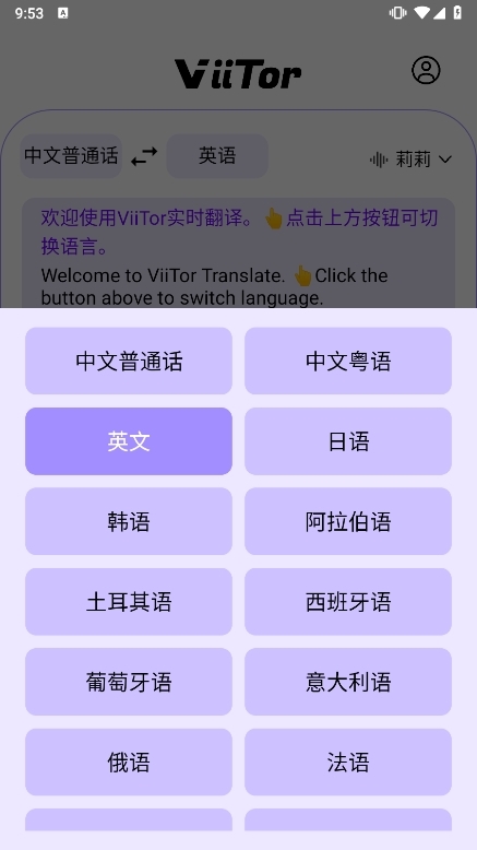 ViiTor Translate截图3