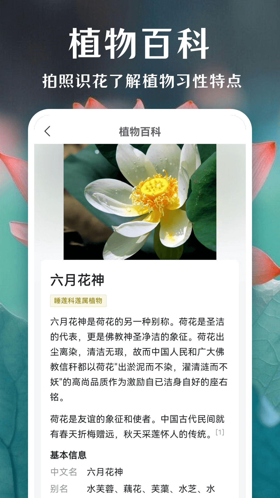 一键拍照识花 2