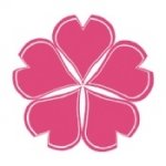 樱花岛网站app