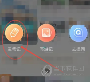 中旅旅行