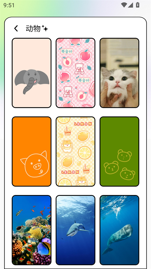 Unsplash壁纸app