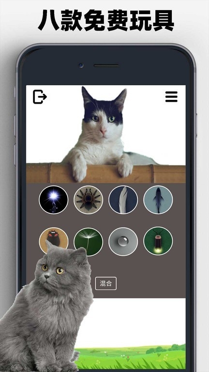 猫狗玩具模拟器手机版下载 v1.1.4
