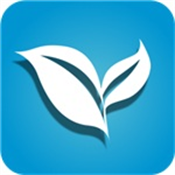 叶子TV盒子版下载 v1.1.8 