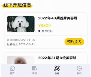 派多格宠物4