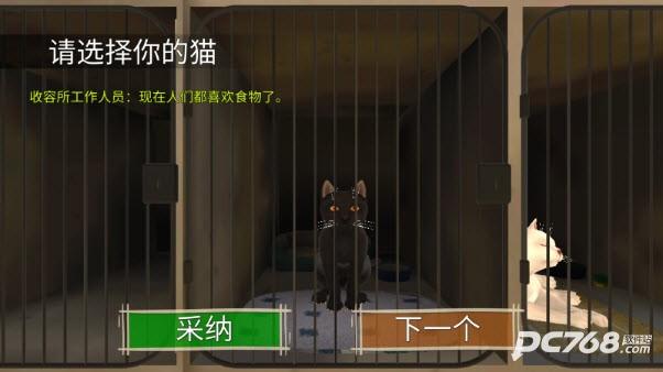 顽皮猫生活模拟