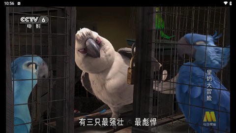 电视熊TV盒子版