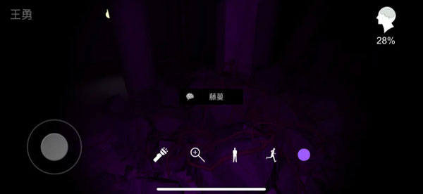 兰芝图片13