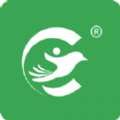 体健护航App  V0.4.1下载
