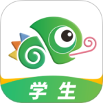 ˵app