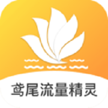 鸢尾流量精灵app V1.0