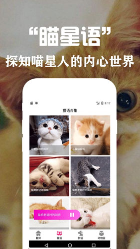 狗语翻译交流器app v3.6