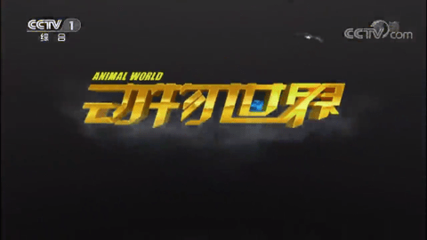 Aptv去广告版