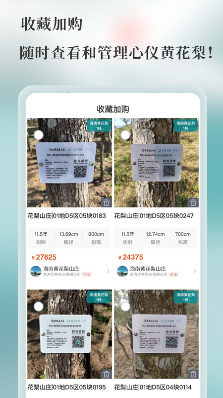 良木森林手机版 v4.7.0