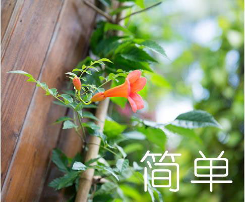 恋爱模拟器约会篇