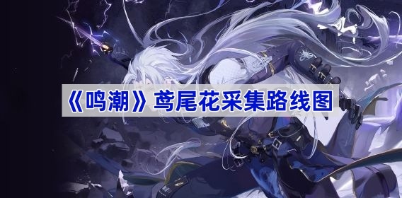 β-βɼ·ͼĹ