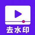 流年去水印软件2025下载
