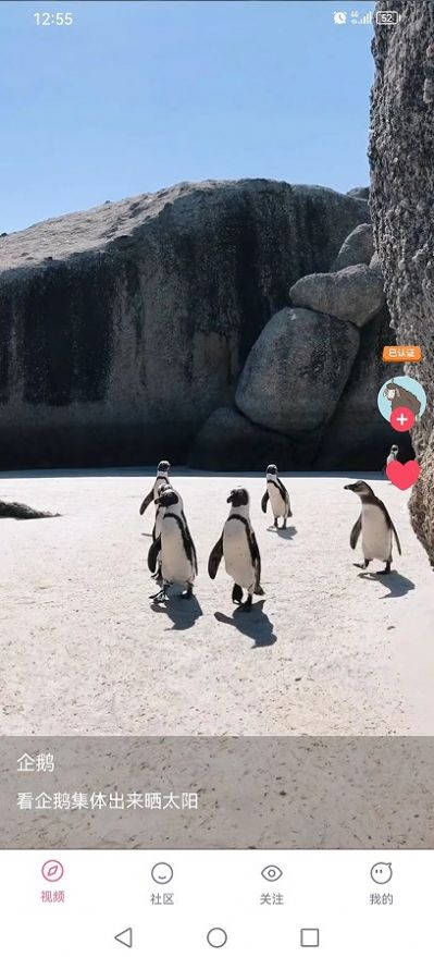 嘟嘟短视频最新版本截图