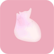 生命life下载 v1.0安卓版