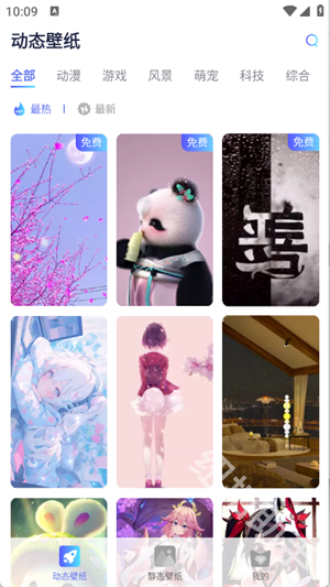 哇叽壁纸