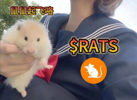 rats币是什么币种，rats币是老鼠币吗？rats币简介