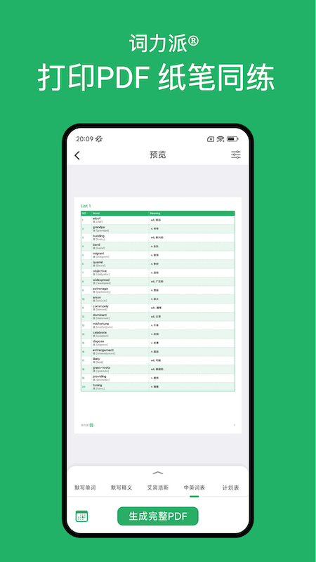 词力派1