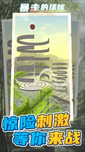 暴走的球球游戏下载  v1.1.6  