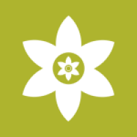 安装狮正版下载