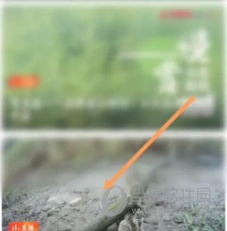 南方+