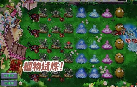 植物大战僵尸共生版内置菜单