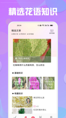 花语秀app v1.1