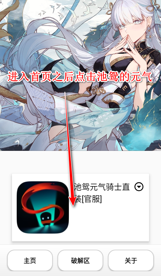 池鸳启动插件最新版