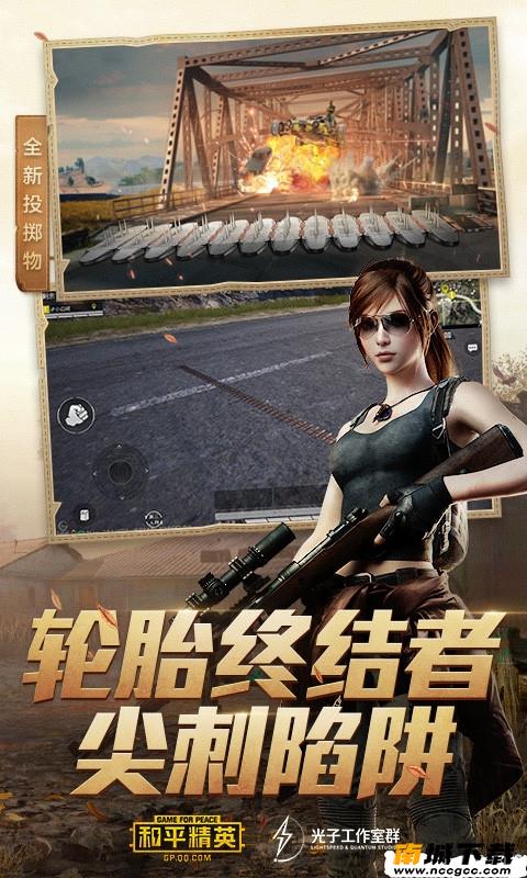 预览图1