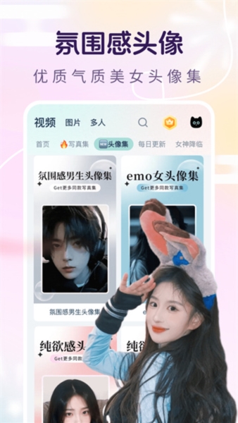 脸猫图片5
