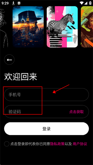 Beatix图片1