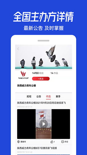 青鸽网APP