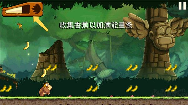 香蕉金刚