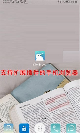 KiwiBrowser浏览器图片1